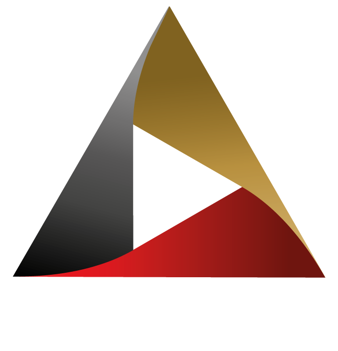 Ledion Security